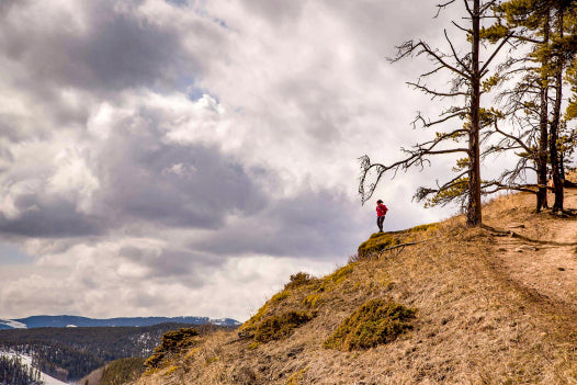 Fullerton Loop – Bragg Creek (Easy)