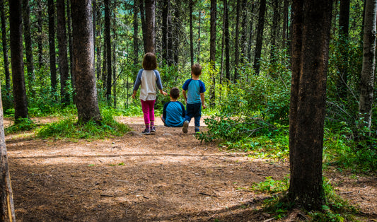 Troll Falls – Fun for the whole family (Nature Walk)