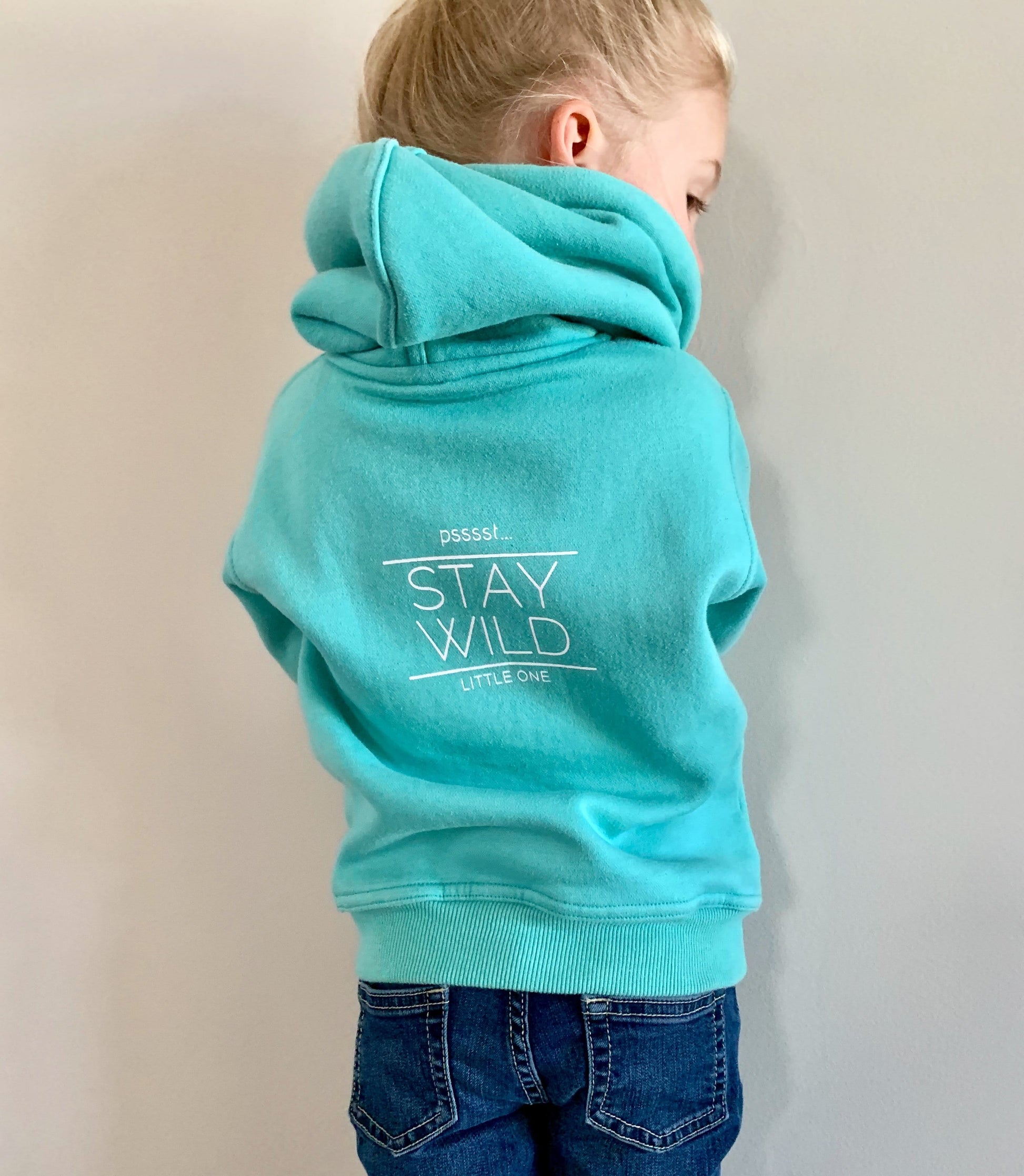 WENKCHEMNA PEAK HOODIE - Mountain Life Apparel - MTN LIFE