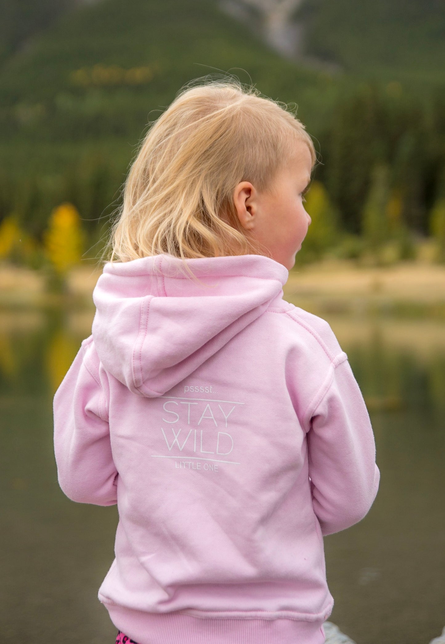 MOUNT HUNGABEE HOODIE - Mountain Life Apparel - MTN LIFE