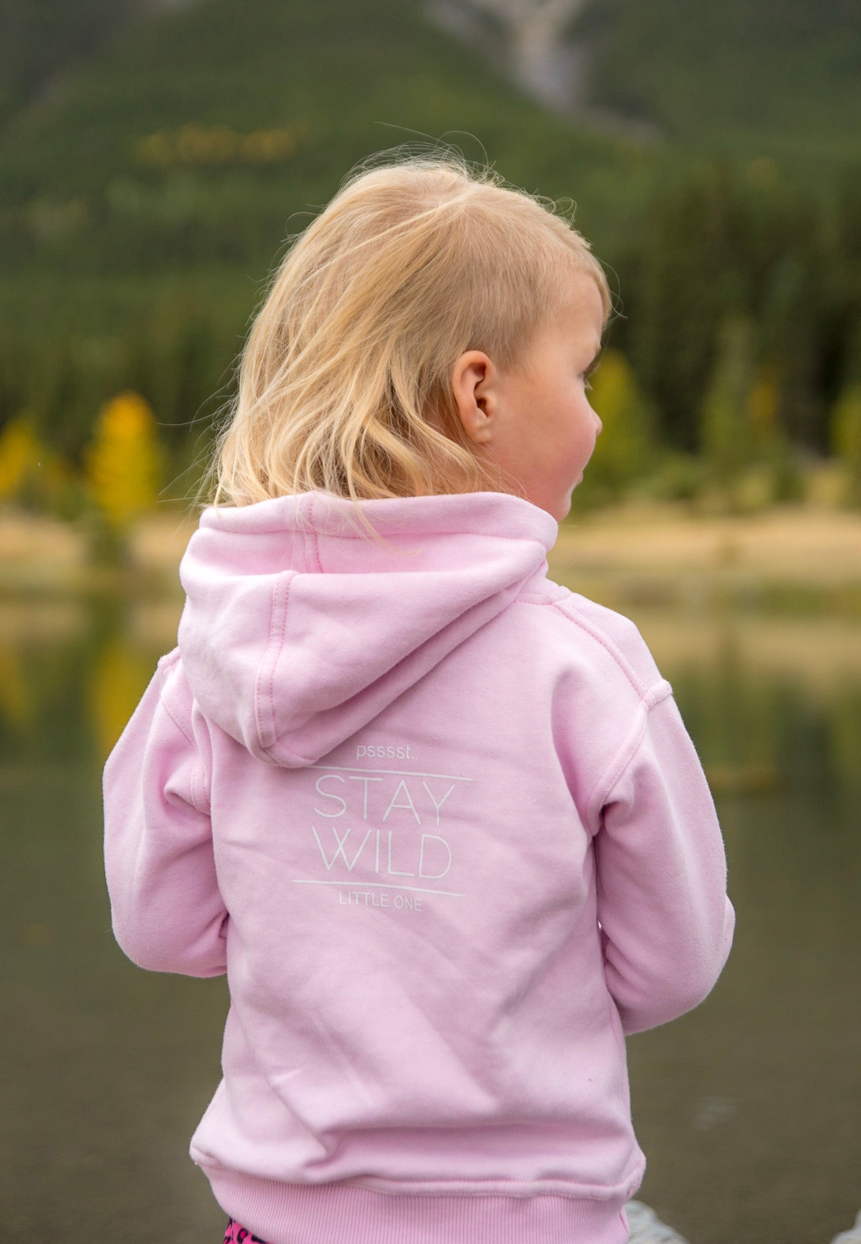 MOUNT HUNGABEE HOODIE - Mountain Life Apparel - MTN LIFE